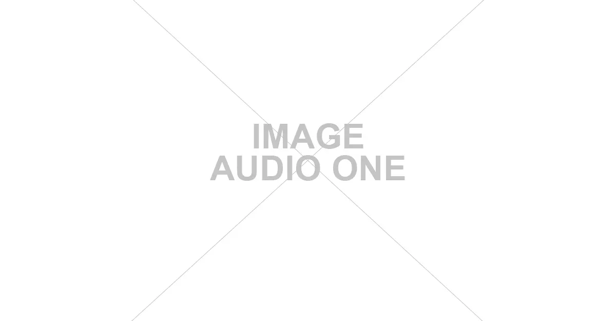 Speaker Audio One
