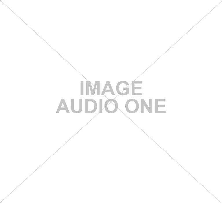 Speaker Audio One