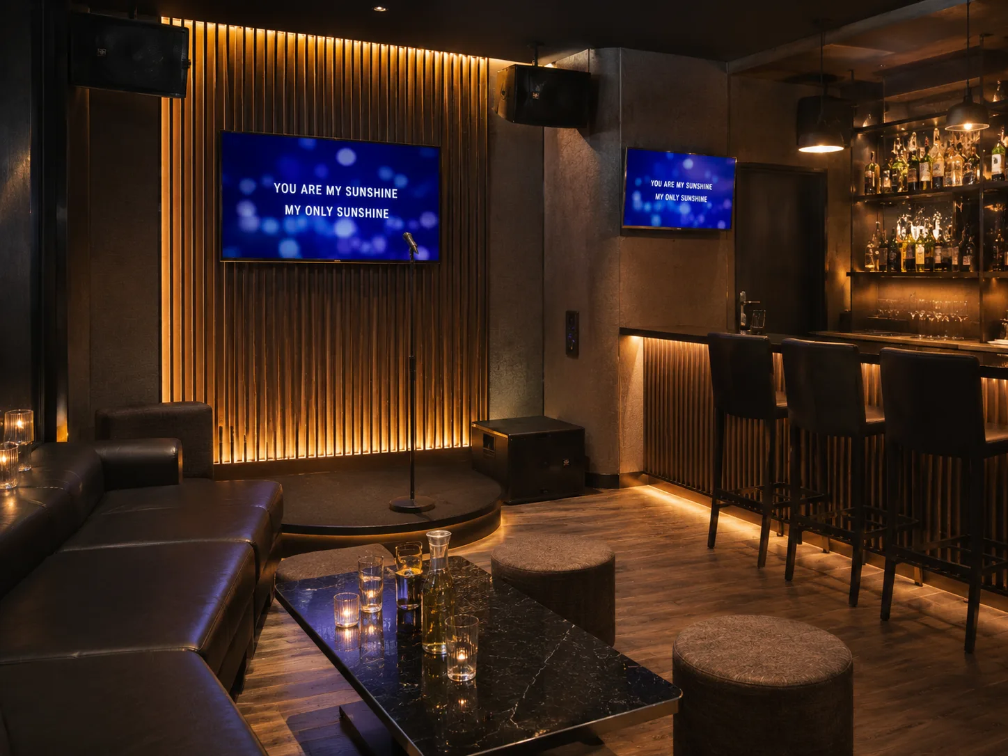 Thumbnail KTV VIP Large